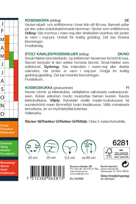 Stolt kavaler ‘Sea shells’